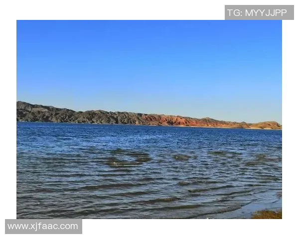 焦泊乔：在历史长河中探寻文化传承与创新的交汇点